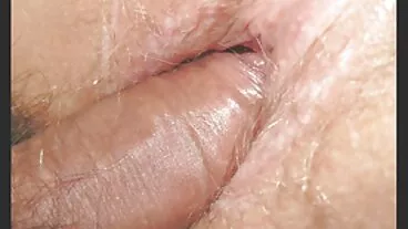 Fan hâm mộ vietsub xex se Sesso