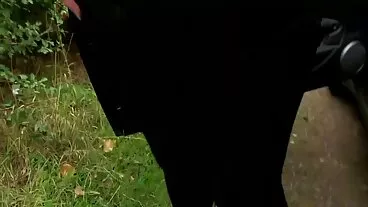 Mô hình khiêu dâm Elisa phim xex loan