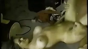 Chết xex me ke tiệt mẹ cổ điển